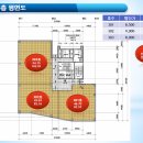 동탄신도시보행자도로 Daum카페