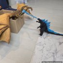 대성비디오콜대여점 | 창신동 완구거리 장난감가게와 승진완구 둘러본 후기, 주차 정보, 히야토이즈(Hiya Toys) 킹기도라 리뷰