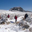 송곡목장 이미지