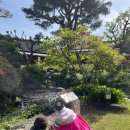 6949 | 헤이지야 스냅과 함께하는 전주 학인당 돌잔치 후기