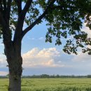 바람과 별 이미지