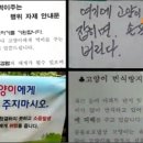 대야카센타 이미지