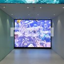 미니쉬치과의원 이미지