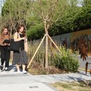 도봉로66길 이미지