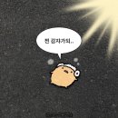 맛짱우동 - 달서구 구마로39길 38 | 맛짱우동