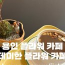 데미한 플라워 카페