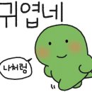아카포네 이미지