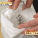 양지로10L 티스토리