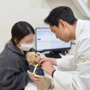 장산동물병원 | 장산역동물병원 강아지 탈장 종류와 원인