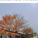 치악(부산방향)주유소 이미지