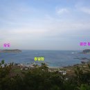 지미돈