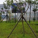 삼일부동산중개 이미지