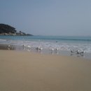 달맞이 노래연습장 이미지