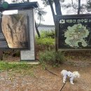 백화산입구(삭선리) 네이버블로그