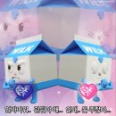 일상 포토덤프트럭키비키🍀
