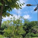 온수역 6번출구 이미지