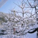 햇살찬농장 이미지