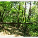 팔공산올레길 8코스 이미지