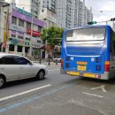 세운버스 이미지