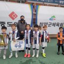 청양공설운동장 이미지