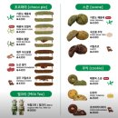 중앙통닭 | 광주송정역시장 가면 이거는 꼭 드세요!! 쑥스초코파이, 중앙통닭 존마탱