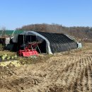 교동면-4 이미지