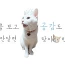 대전종합동물병원 이미지