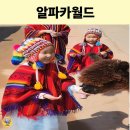 코끼리 손짜장 | 홍천 알파카월드 아이랑 갈만한 곳｜알파카 산책·먹이주기 체험 후기