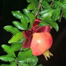 여수가온병원 | 돈 있냐고? 민생소비쿠폰이 다야