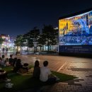 푸른잔디 이미지