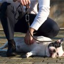 하이파이브 독스 이미지