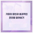 라플레르의원 이미지