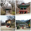 관고동-03 이미지