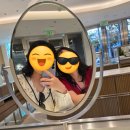 아일랜드 앤 코 이미지