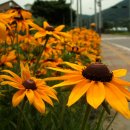 차산2리 이미지