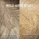 도봉-도봉-서울도봉-2086 | 문신수강학원 찾아가서배우는 이유일산동구.광진구.강동구.강남구.수정구.노원구.도봉구.강북구.서대문구
