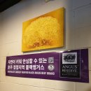 육화컴퍼니