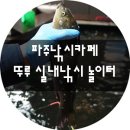 뚜루실내낚시놀이터 이미지