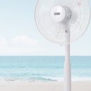 모아가정