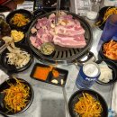 표가네안경, 보청기 이미지