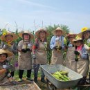 제주특별자치도 농업기술원 이미지