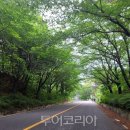 대청호수로 이미지