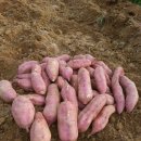 보람농장 이미지