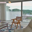 내새끼 펫 이미지