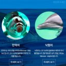 마린파크