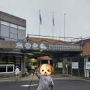 5월 한라산 등산 후기(ft.성판악 코스)