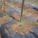 세심농장 이미지