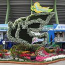 메밀꽃체육관 이미지