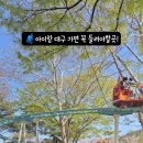 수성랜드 이미지