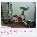 (판매완료)미니쿠퍼 12인치 접이식 자전거 (사진추가 및 금액조정) 이미지